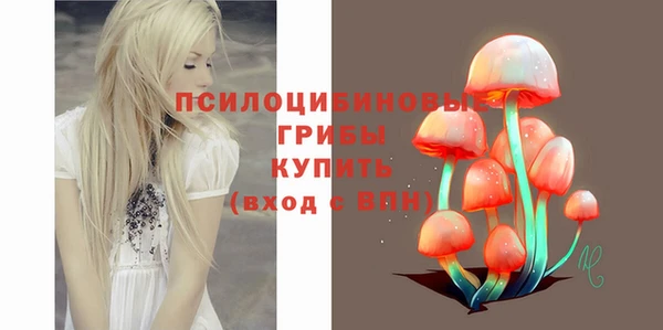 хмурый Алексин