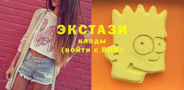 хмурый Алексин