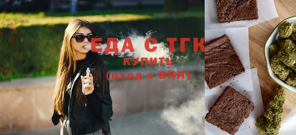 хмурый Алексин