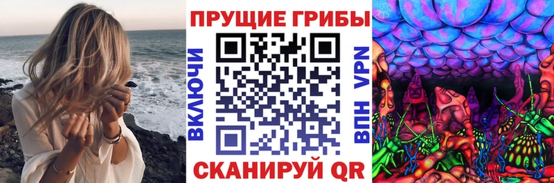 Галлюциногенные грибы Psilocybe  Аргун 