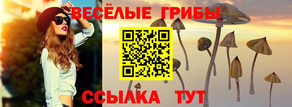 Аргун  продажа наркотиков  Вход с VPN  Галлюциногенные грибы Cubensis  Псилоцибиновые грибы Cubensis 